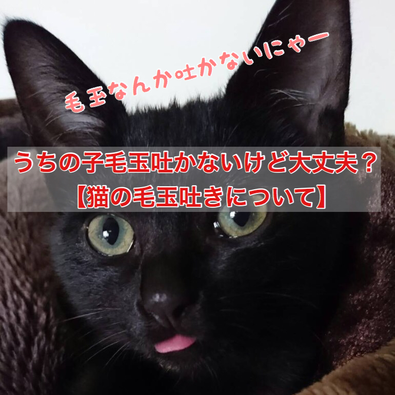 うちの子毛玉吐かないけど大丈夫？【猫の毛玉吐きについて 