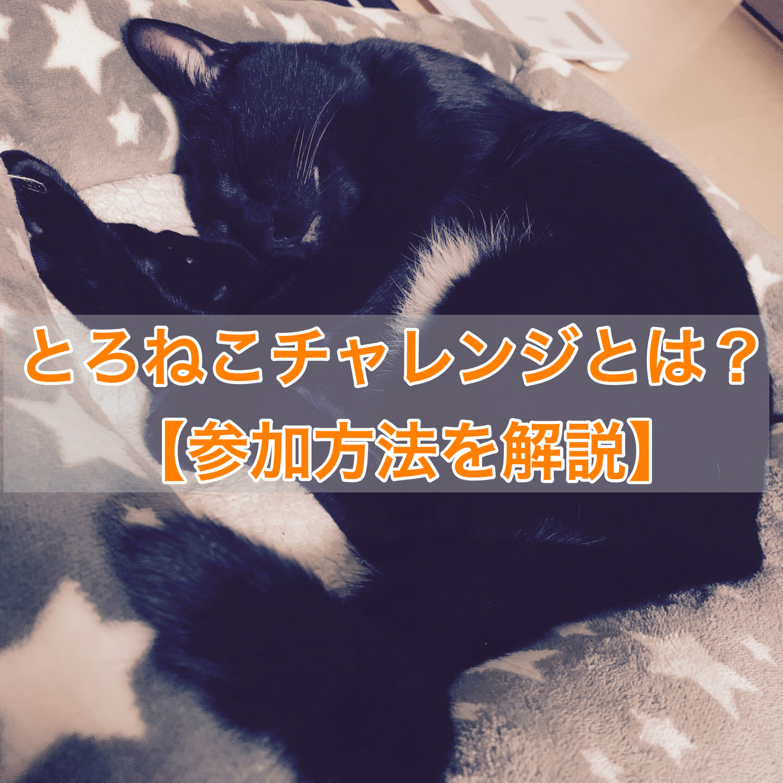 とろねこチャレンジとは 参加方法を解説 サラリーマンから始める保護猫カフェ開業への道